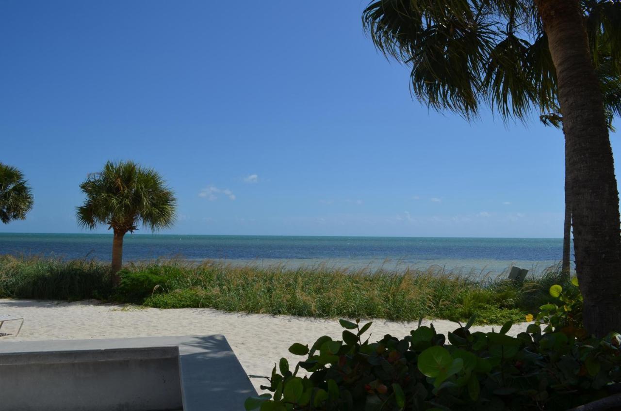 Paradise Found Cayo Hueso A111 Exterior foto