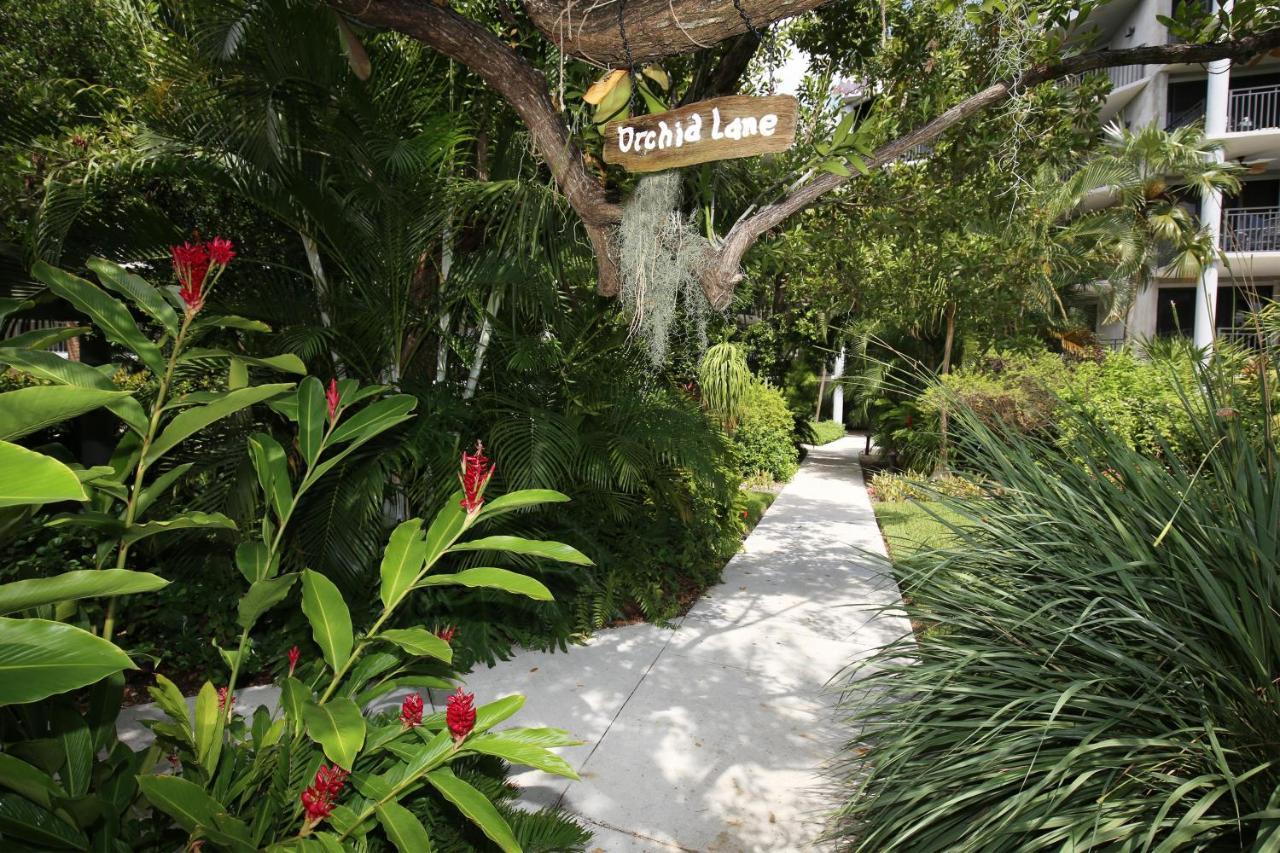Paradise Found Cayo Hueso A111 Exterior foto